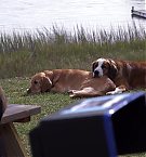 Filename=216.jpg
Filesize=143KiB
Dimensions=1280x720
Date added=May 07, 2025 216.jpg