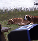 Filename=217.jpg
Filesize=141KiB
Dimensions=1280x720
Date added=May 07, 2025 217.jpg