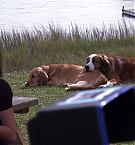 Filename=218.jpg
Filesize=136KiB
Dimensions=1280x720
Date added=May 07, 2025 218.jpg