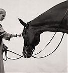 Filename=034.jpg
Filesize=2018KiB
Dimensions=2000x1333
Date added=Nov 12, 2025 034.jpg