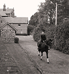 Filename=035.jpg
Filesize=2757KiB
Dimensions=2000x1333
Date added=Nov 12, 2025 035.jpg