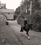 Filename=036.jpg
Filesize=2796KiB
Dimensions=2000x1333
Date added=Nov 12, 2025 036.jpg