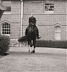 Filename=040.jpg
Filesize=2262KiB
Dimensions=2000x1333
Date added=Nov 12, 2025 040.jpg