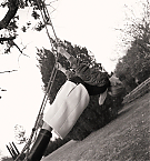 Filename=055.jpg
Filesize=4792KiB
Dimensions=2000x3000
Date added=Nov 12, 2025 055.jpg